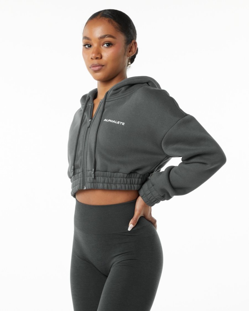 Alphalete Classic Capital Full-Zip Crop Jacket Naisten Takit Smoke | VFMHT-5738