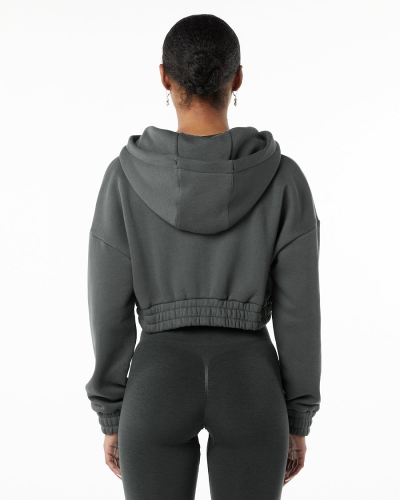 Alphalete Classic Capital Full-Zip Crop Jacket Naisten Takit Smoke | VFMHT-5738