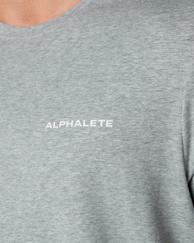 Alphalete Classic Tee Miesten Paidat Harmaat | MILEX-6192