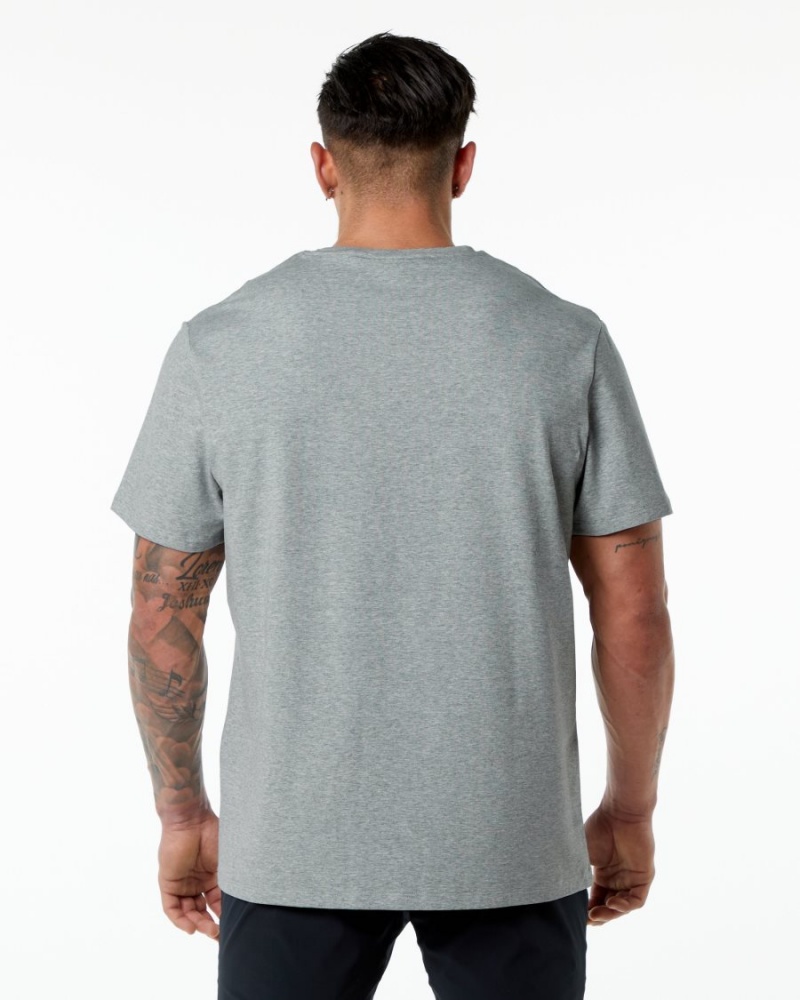 Alphalete Classic Tee Miesten Paidat Harmaat | MILEX-6192