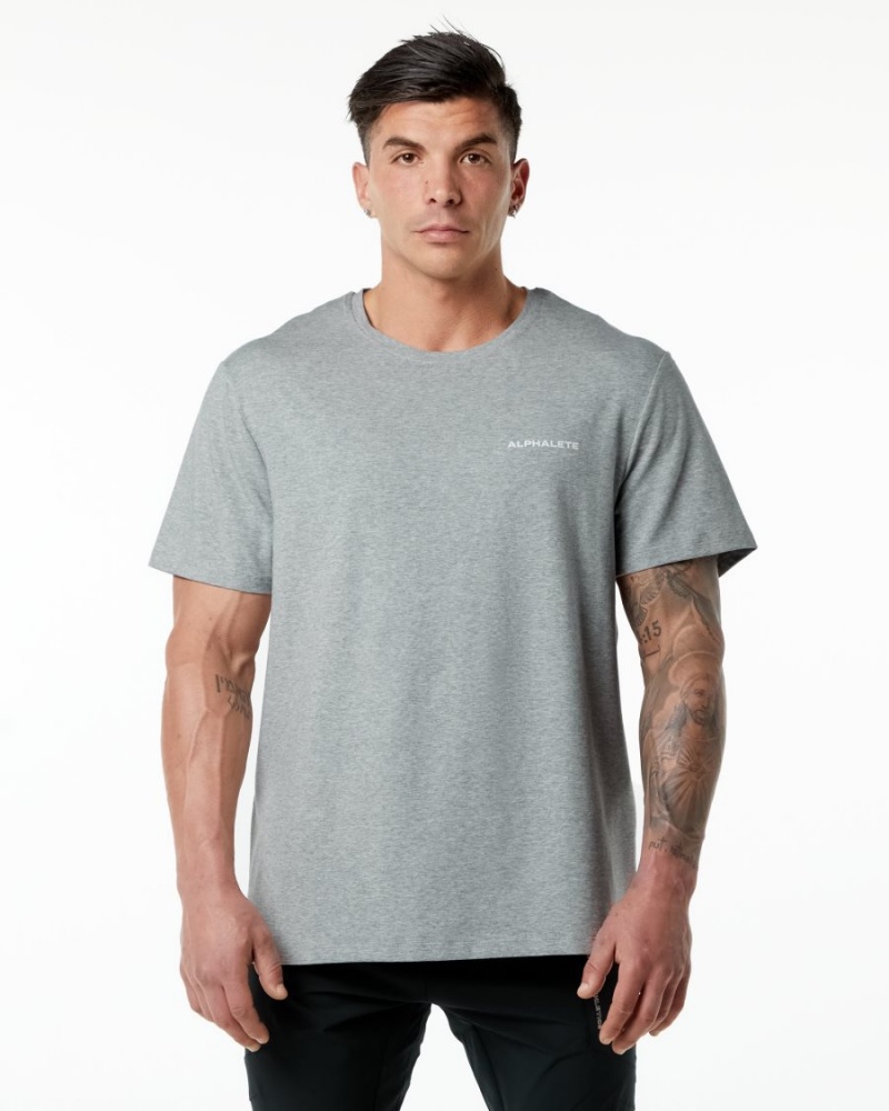 Alphalete Classic Tee Miesten Paidat Harmaat | MILEX-6192