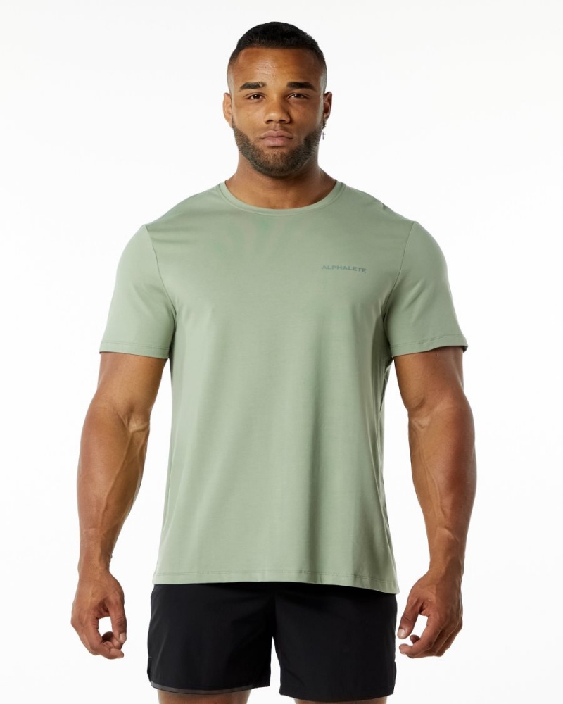 Alphalete Classic Tee Miesten Paidat Sage | TPGNM-7614