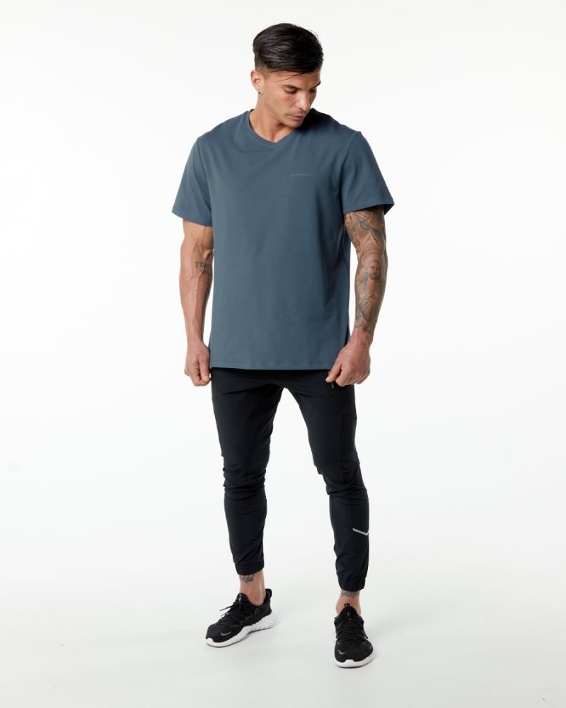 Alphalete Classic Tee Miesten Paidat Sininen | JPDRF-0967