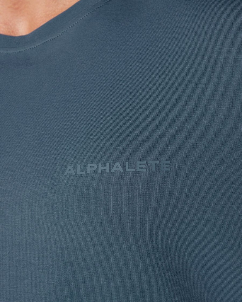 Alphalete Classic Tee Miesten Paidat Sininen | JPDRF-0967