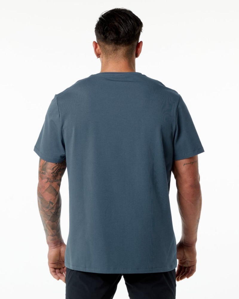 Alphalete Classic Tee Miesten Paidat Sininen | JPDRF-0967