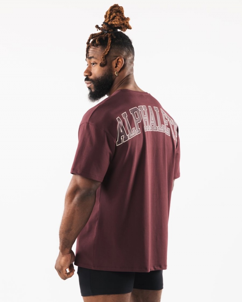 Alphalete Collegiate Tee Miesten Paidat Sangria | DKTOH-6742