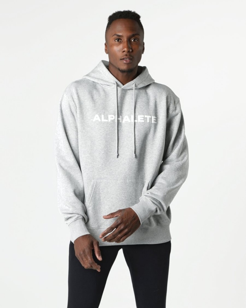 Alphalete Core Hoodie Miesten Huppari Harmaat | LOVTQ-6074