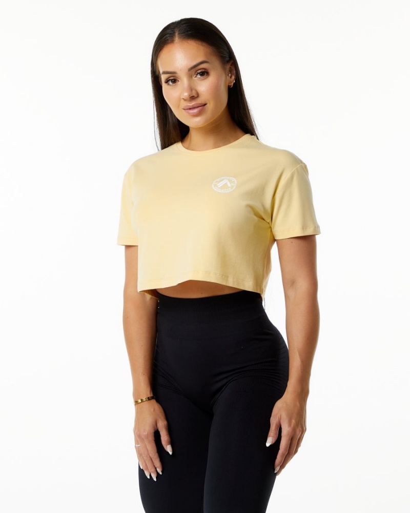 Alphalete Dynasty Crop Naisten Paidat Daffodil | QTOBI-3601