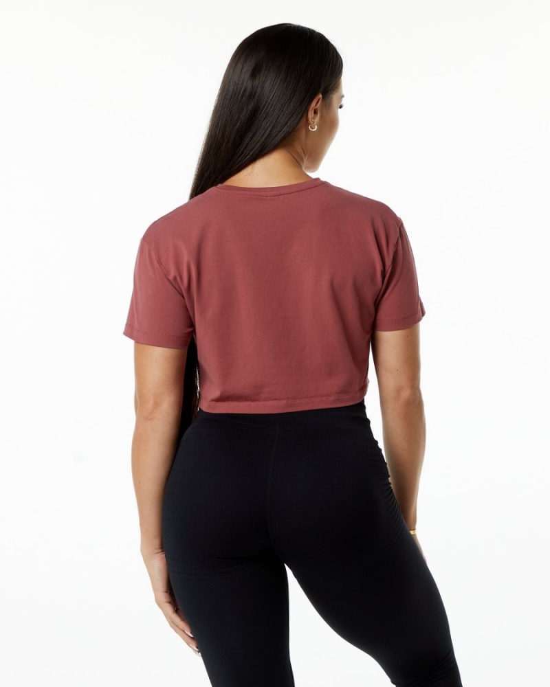 Alphalete Dynasty Crop Naisten Paidat Gingerbread | XZMTG-6835