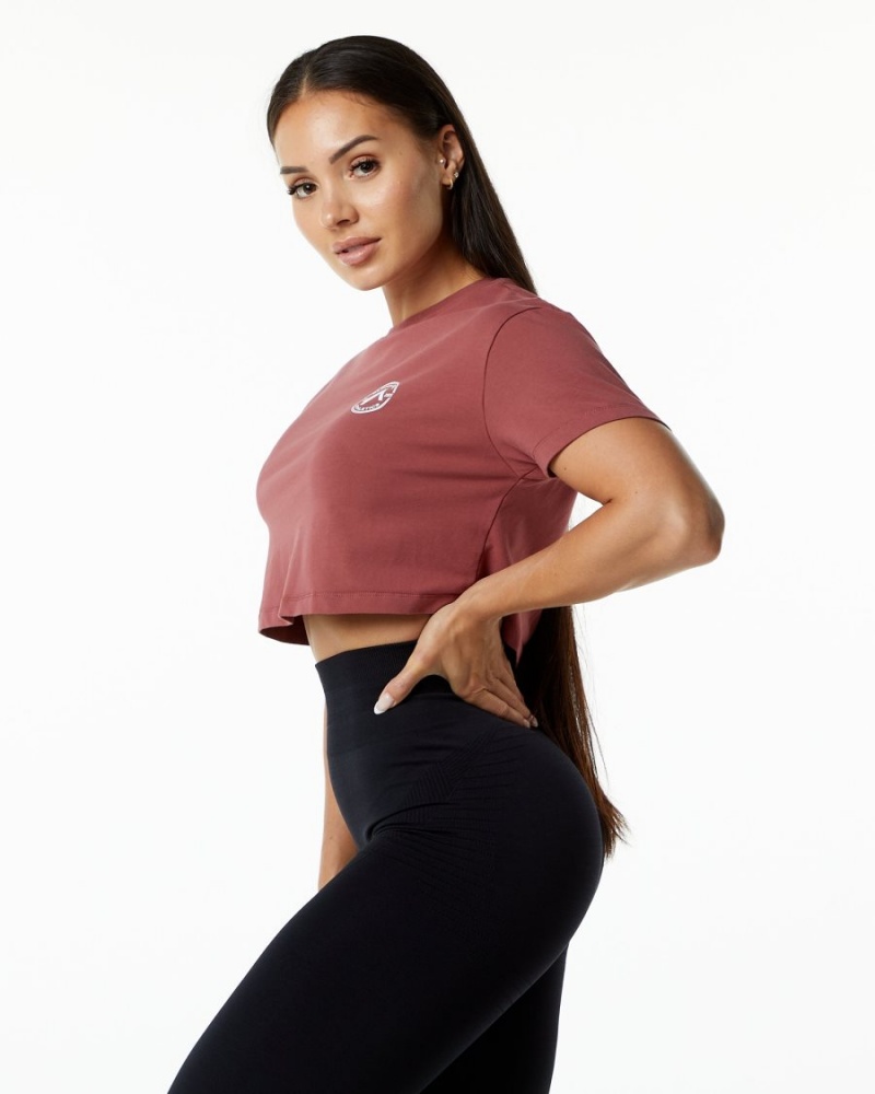 Alphalete Dynasty Crop Naisten Paidat Gingerbread | XZMTG-6835