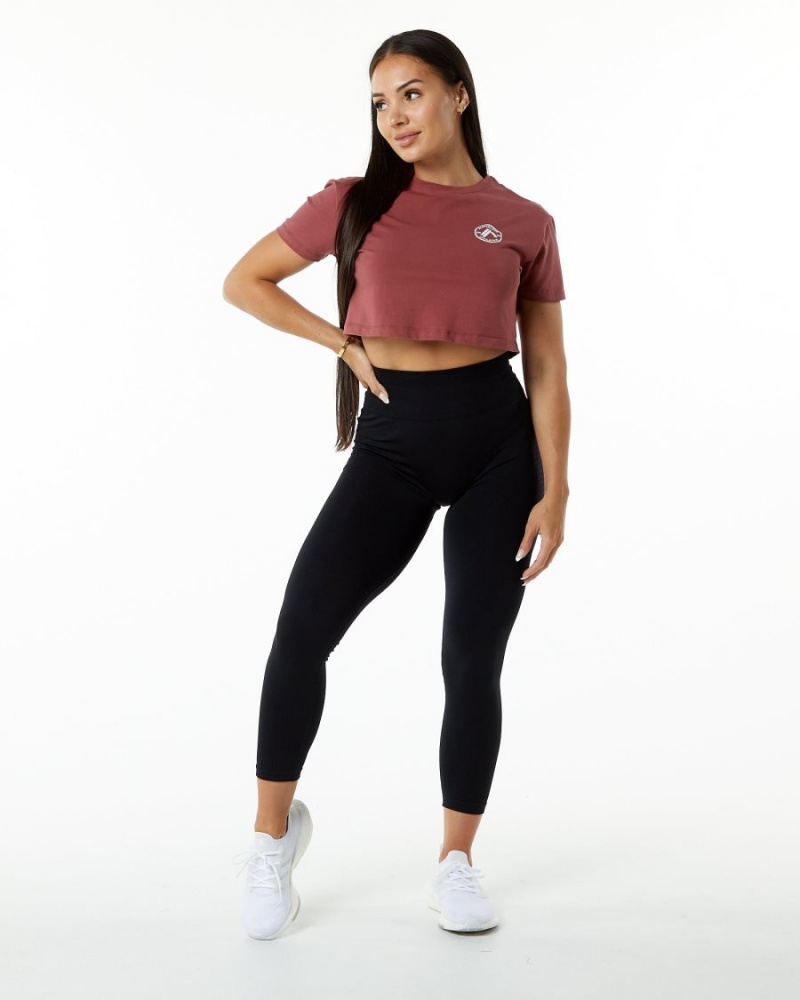 Alphalete Dynasty Crop Naisten Paidat Gingerbread | XZMTG-6835