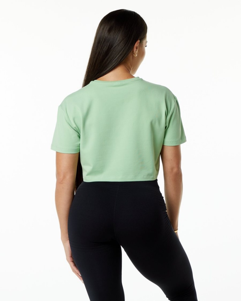 Alphalete Dynasty Crop Naisten Paidat Pistachio | XWLFE-0365