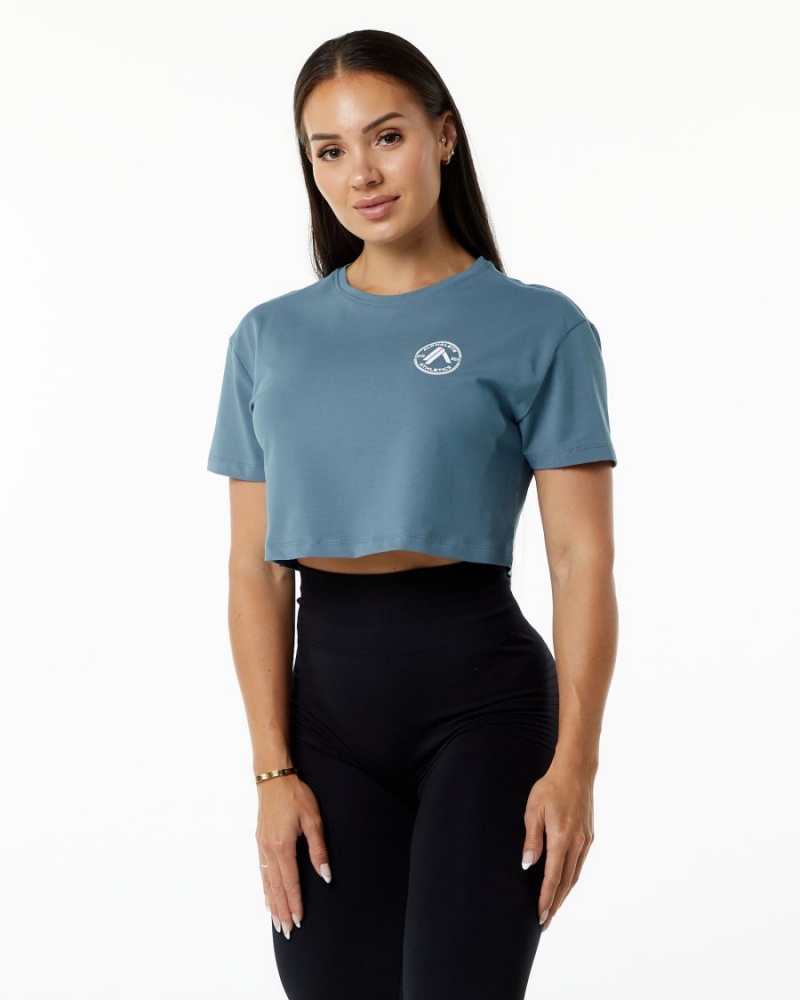 Alphalete Dynasty Crop Naisten Paidat Sininen | ESYMZ-2463