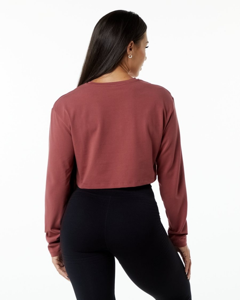 Alphalete Dynasty LS Crop Naisten Pitkähihainen Gingerbread | ULBDE-0231