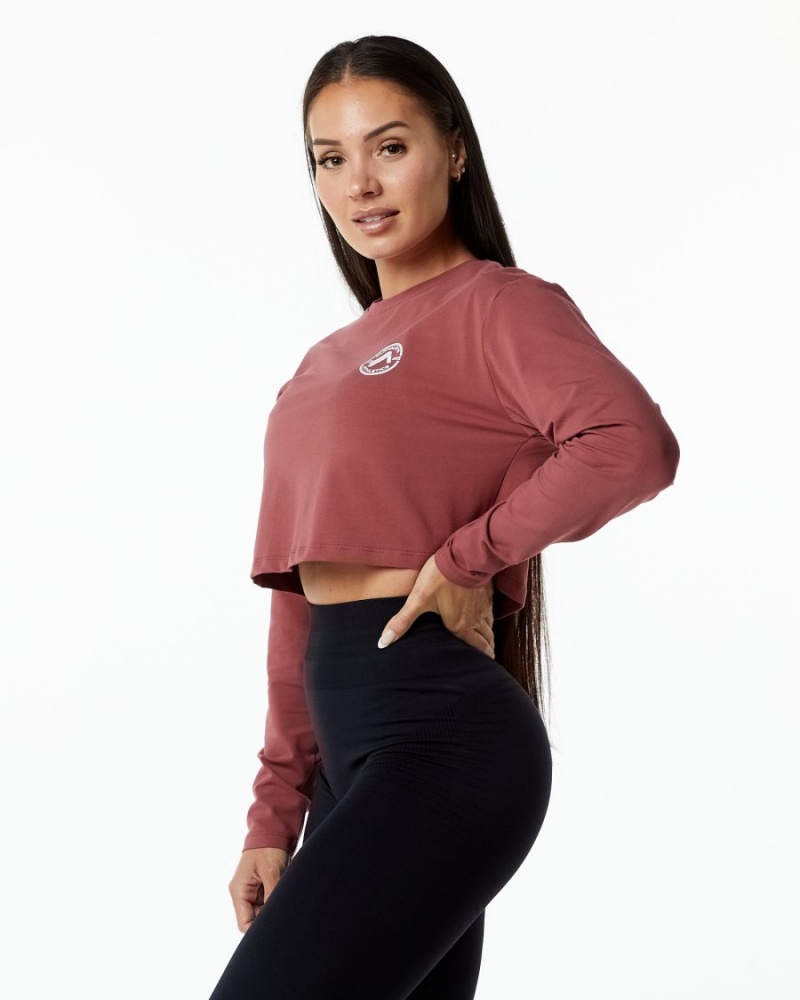 Alphalete Dynasty LS Crop Naisten Pitkähihainen Gingerbread | ULBDE-0231