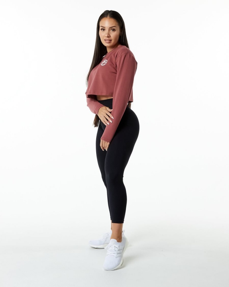 Alphalete Dynasty LS Crop Naisten Pitkähihainen Gingerbread | ULBDE-0231