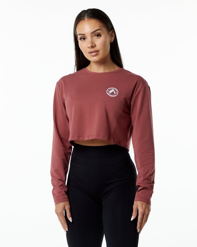 Alphalete Dynasty LS Crop Naisten Pitkähihainen Gingerbread | ULBDE-0231