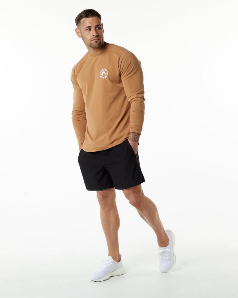 Alphalete Dynasty LS Tee Miesten Paidat Rust | XRTFZ-1982