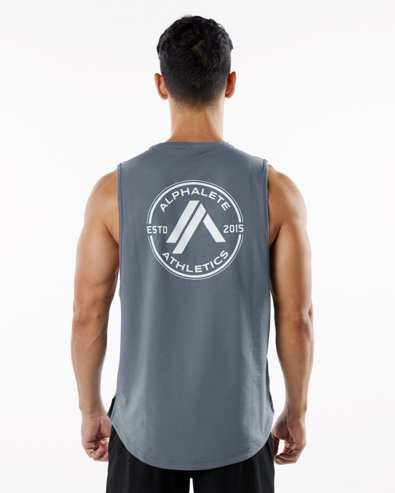 Alphalete Dynasty Tank Miesten Hihaton Paita Carbon | NGUDH-4598