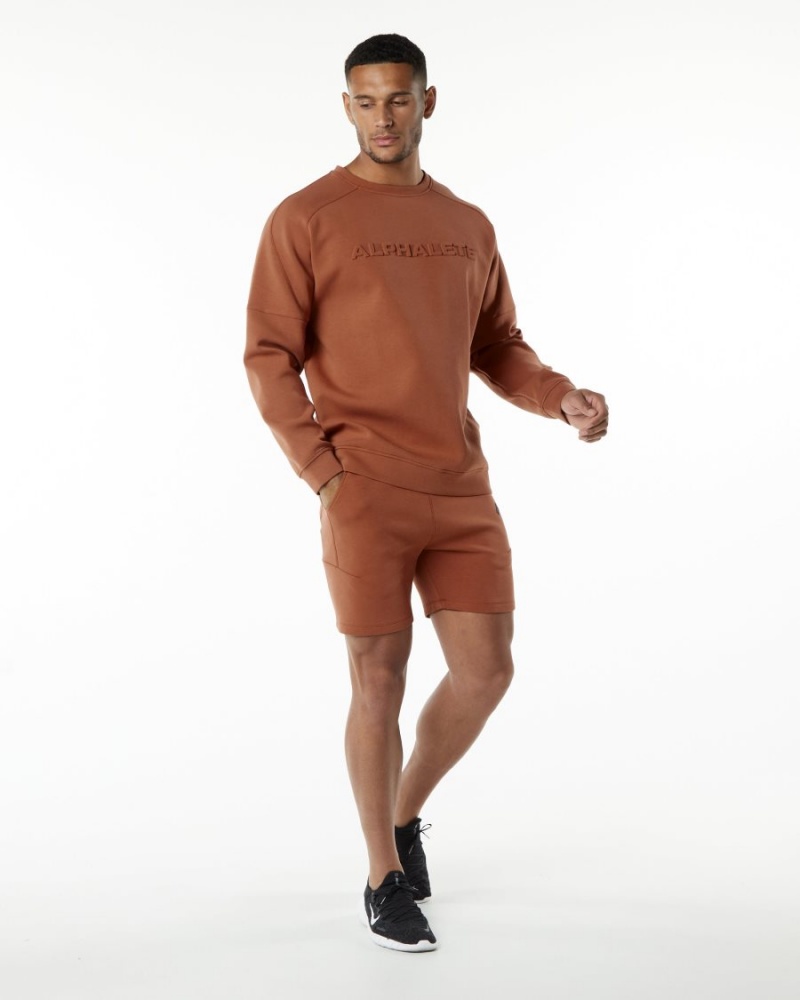 Alphalete ELMTS Crewneck Villa Miesten Takit Brick | VWBPF-4635