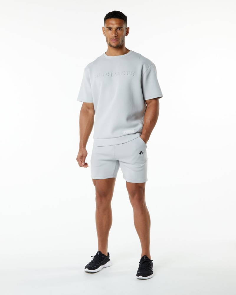 Alphalete ELMTS Half Sleeve Pullover Miesten Takit Harmaat | DVILK-8513