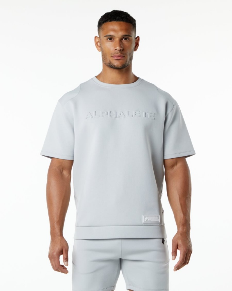 Alphalete ELMTS Half Sleeve Pullover Miesten Takit Harmaat | DVILK-8513