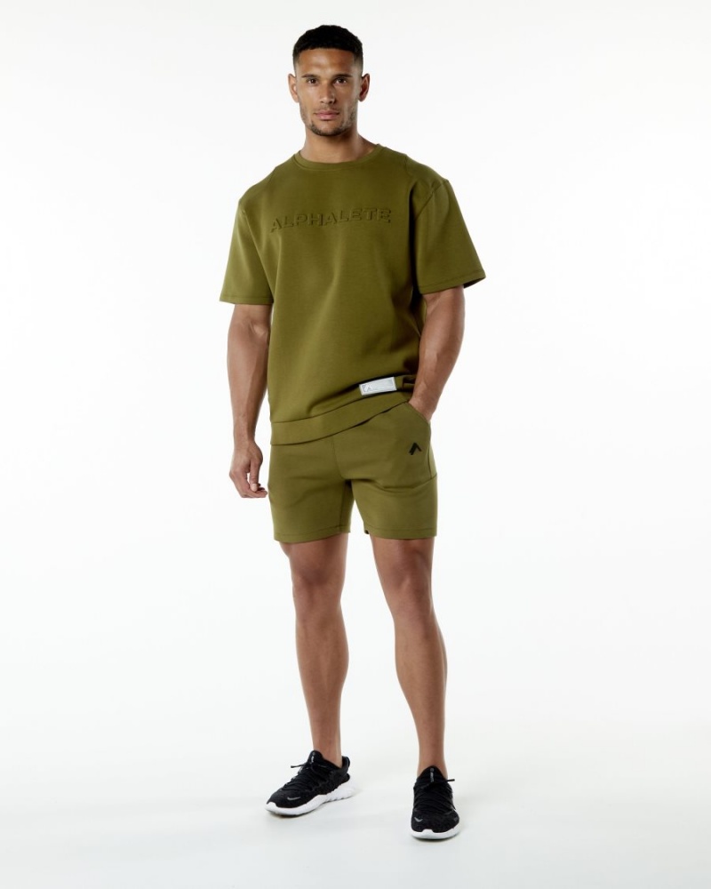 Alphalete ELMTS Half Sleeve Pullover Miesten Takit Moss | TEYDQ-3908