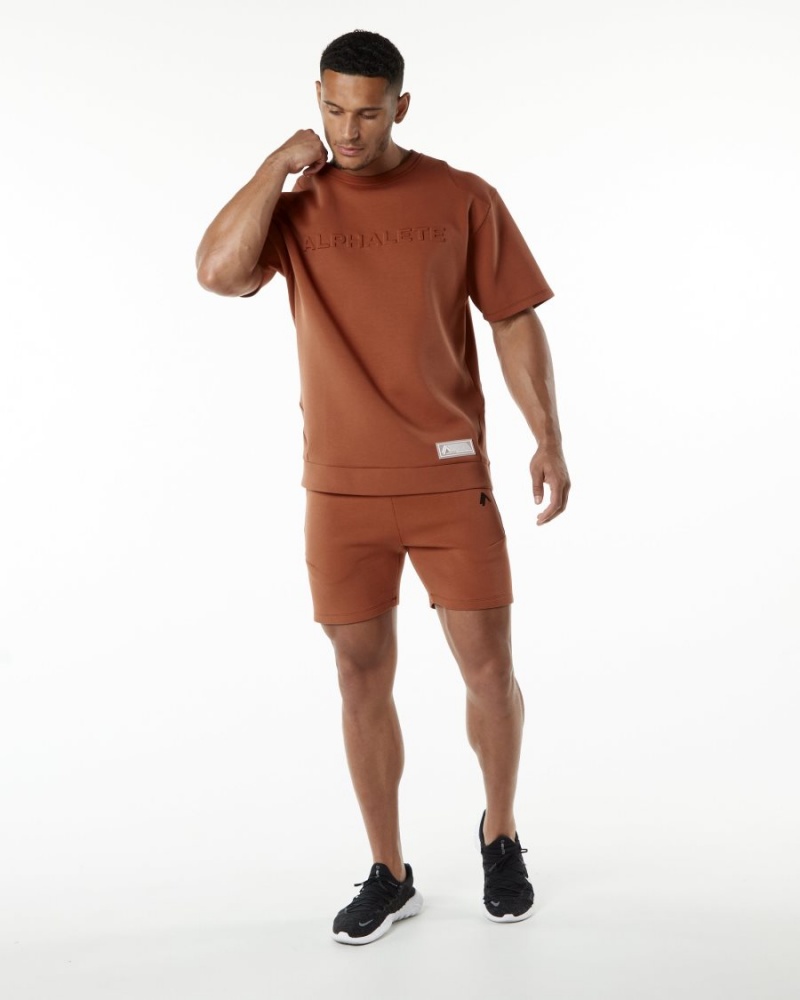 Alphalete ELMTS Half Sleeve Pullover Miesten Takit Brick | RUXPJ-0987