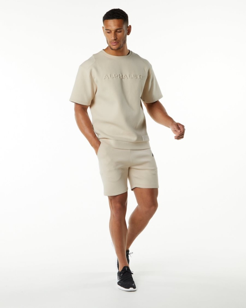 Alphalete ELMTS Half Sleeve Pullover Miesten Takit Vanilla | GHIAS-4350