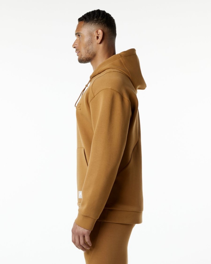 Alphalete ELMTS Hoodie Miesten Huppari Almond | VYKCM-8153