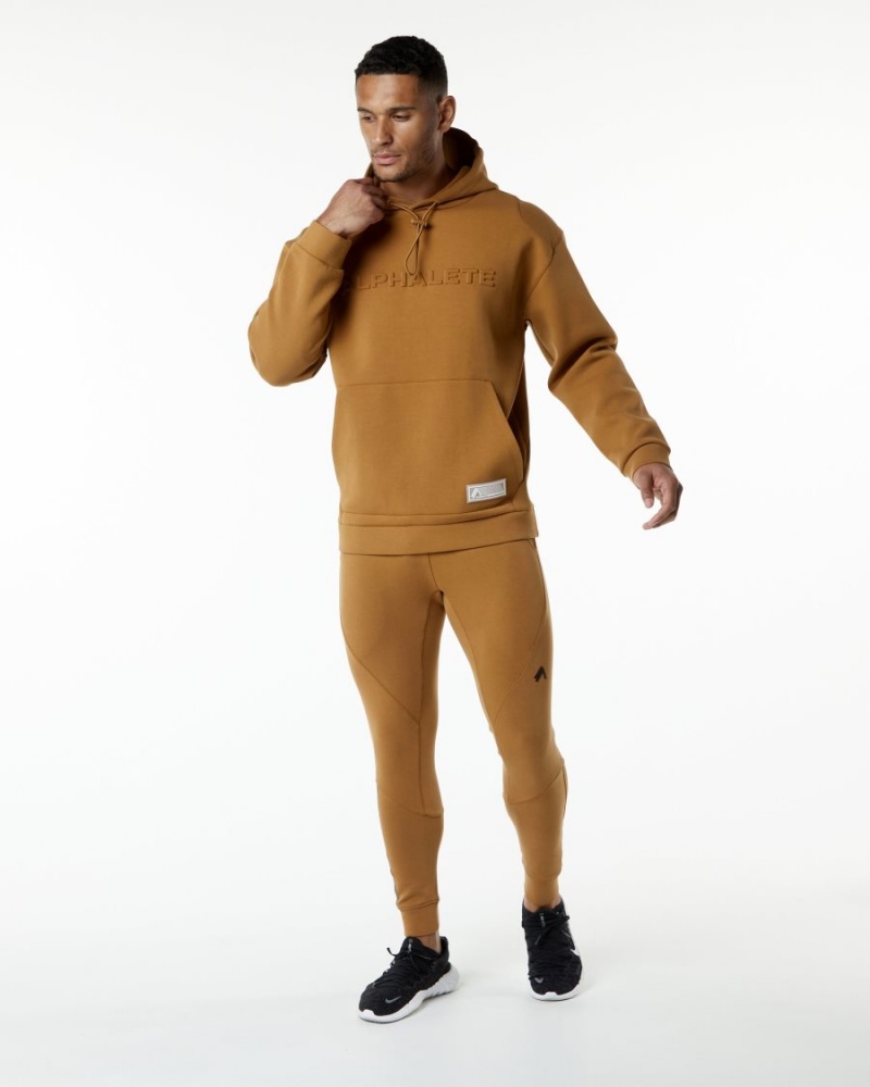 Alphalete ELMTS Hoodie Miesten Huppari Almond | VYKCM-8153