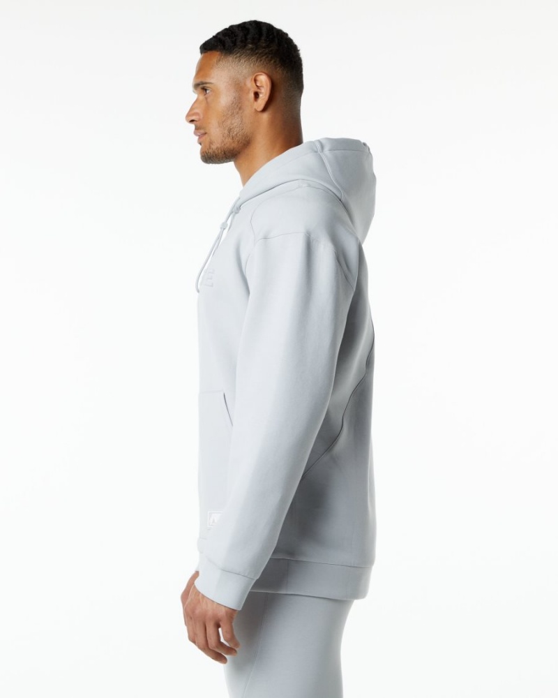 Alphalete ELMTS Hoodie Miesten Huppari Harmaat | OGTRD-0974