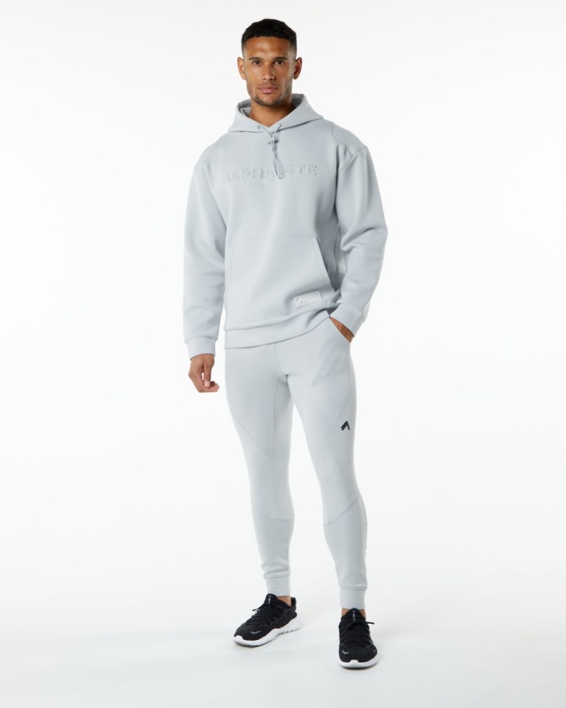 Alphalete ELMTS Hoodie Miesten Huppari Harmaat | OGTRD-0974