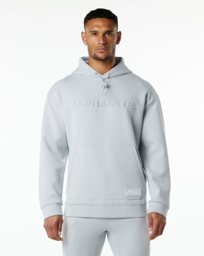 Alphalete ELMTS Hoodie Miesten Huppari Harmaat | OGTRD-0974