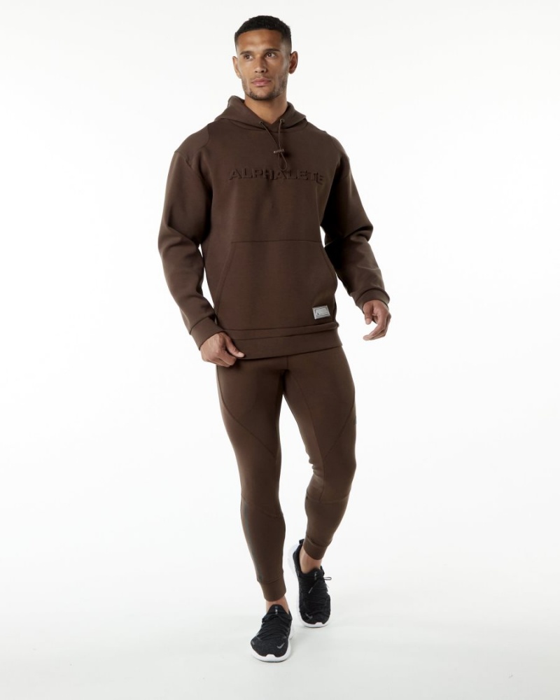 Alphalete ELMTS Hoodie Miesten Huppari Ruskea | IZFGT-1908