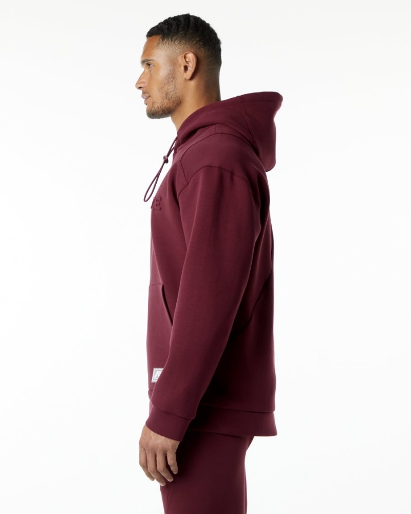 Alphalete ELMTS Hoodie Miesten Huppari Viininpunainen | FKDBT-0689