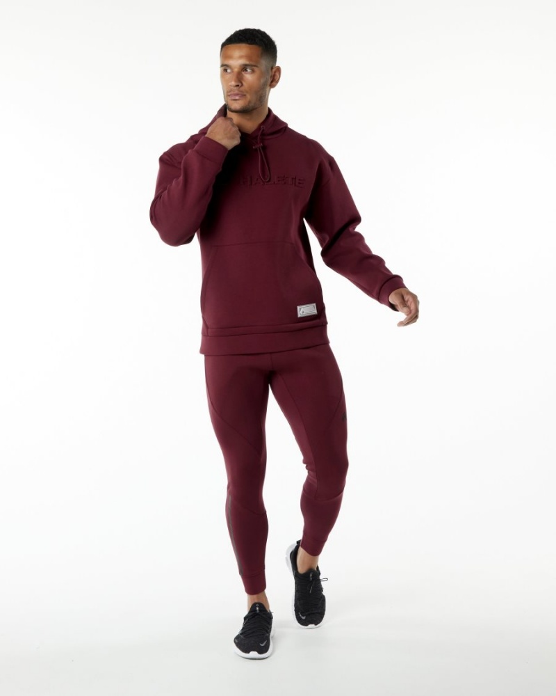 Alphalete ELMTS Hoodie Miesten Huppari Viininpunainen | FKDBT-0689