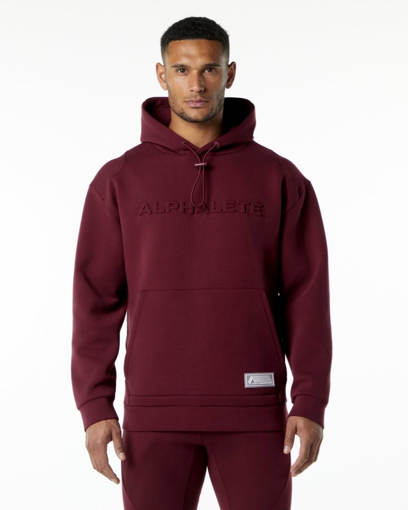 Alphalete ELMTS Hoodie Miesten Huppari Viininpunainen | FKDBT-0689