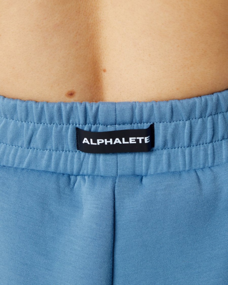 Alphalete ELMTS Urheilulliset Lyhyt 3.5" Naisten Shortsit Sininen | ISQFU-6953