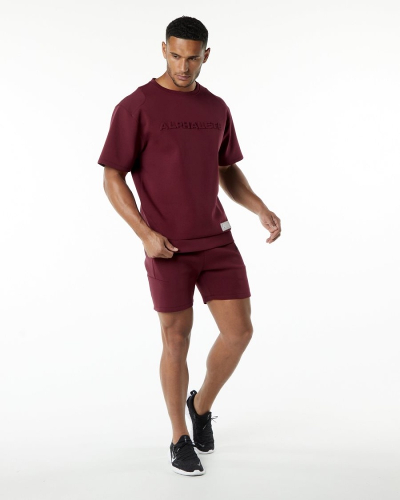 Alphalete ELMTS Urheilulliset Lyhyt 6" Miesten Shortsit Viininpunainen | LWUHR-4708