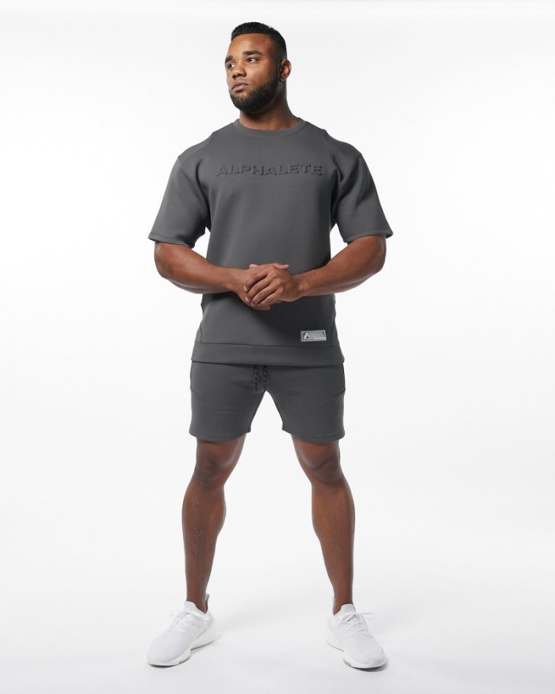 Alphalete ELMTS Urheilulliset Lyhyt 6" Miesten Shortsit Charcoal | QFVEW-3642