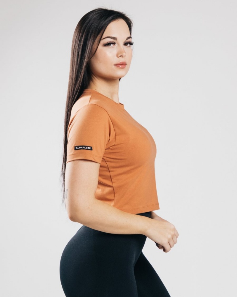 Alphalete Essential Lyhyt Sleeve Crop Naisten Paidat Clay | YORNT-4268