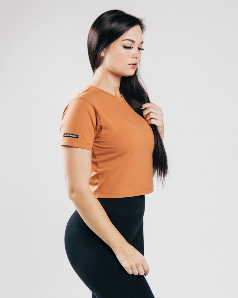 Alphalete Essential Lyhyt Sleeve Crop Naisten Paidat Clay | YORNT-4268