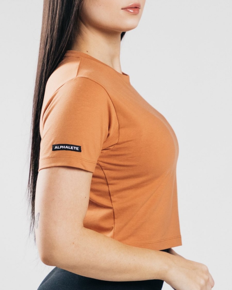 Alphalete Essential Lyhyt Sleeve Crop Naisten Paidat Clay | YORNT-4268