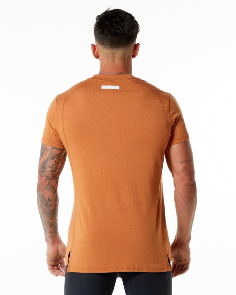 Alphalete Evo Tee Miesten Paidat Camel | ITJAL-9702