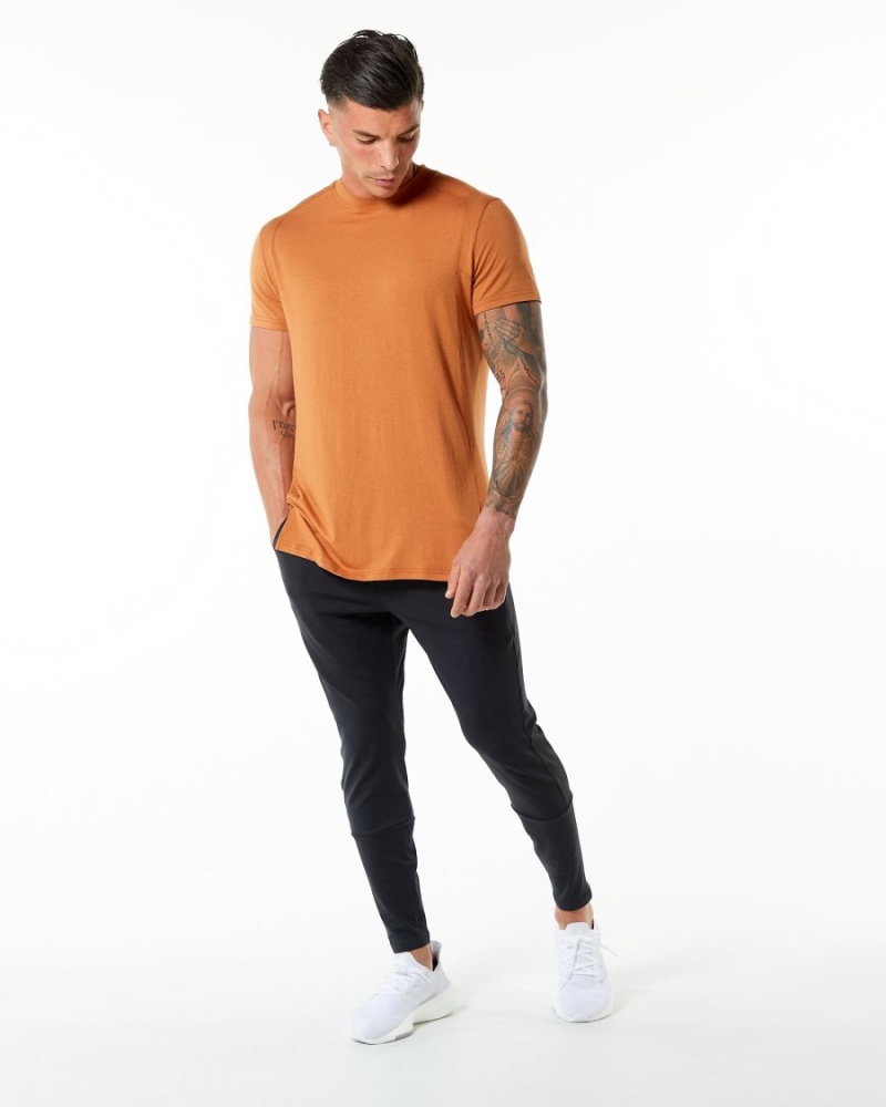 Alphalete Evo Tee Miesten Paidat Camel | ITJAL-9702