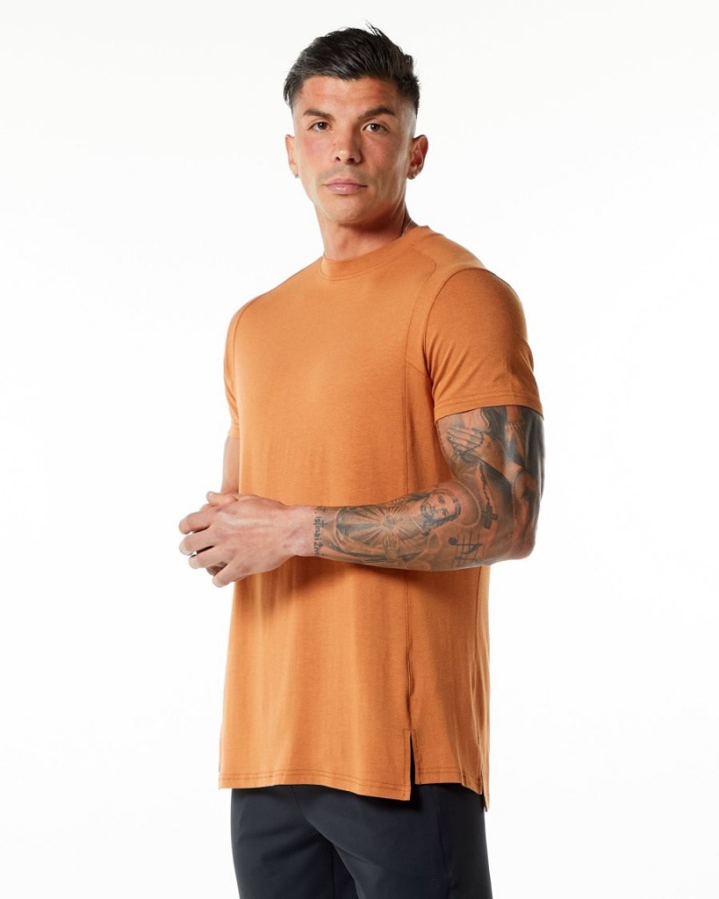 Alphalete Evo Tee Miesten Paidat Camel | ITJAL-9702