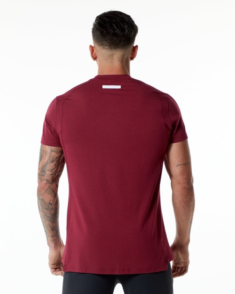 Alphalete Evo Tee Miesten Paidat Punainen | IHUCE-7586