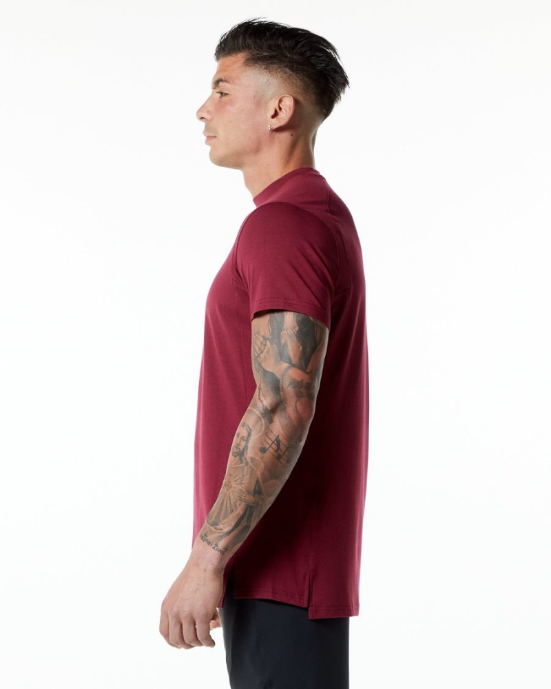 Alphalete Evo Tee Miesten Paidat Punainen | IHUCE-7586