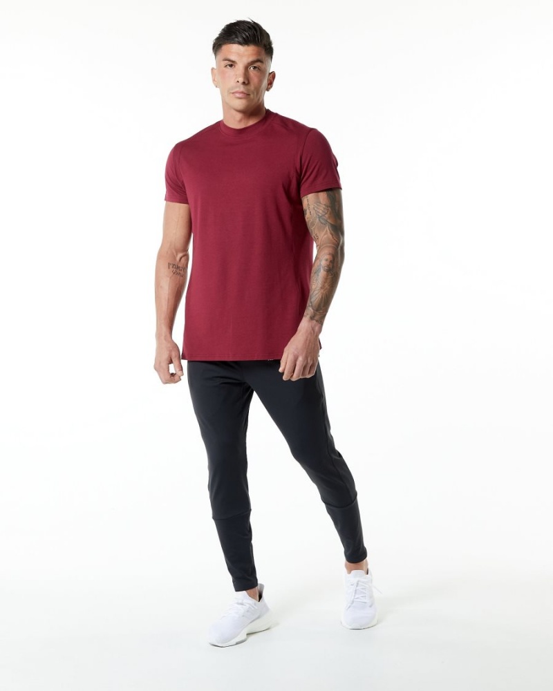 Alphalete Evo Tee Miesten Paidat Punainen | IHUCE-7586